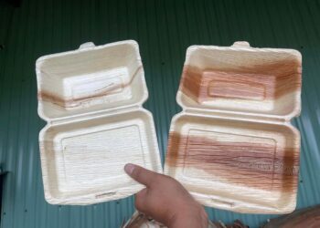 Mỗi ngày 1 tin tốt – “NGƯỜI VIỆT ĐÃ LÀM ĐƯỢC HỘP CƠM TỪ MO CAU”